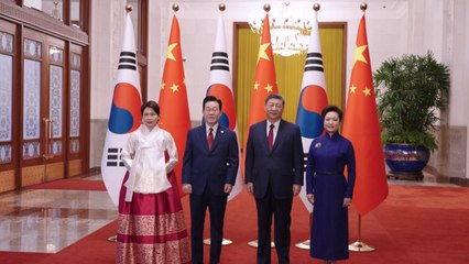 이 대통령, 시진핑 영접 받으며 공식환영식 참석 / YTN