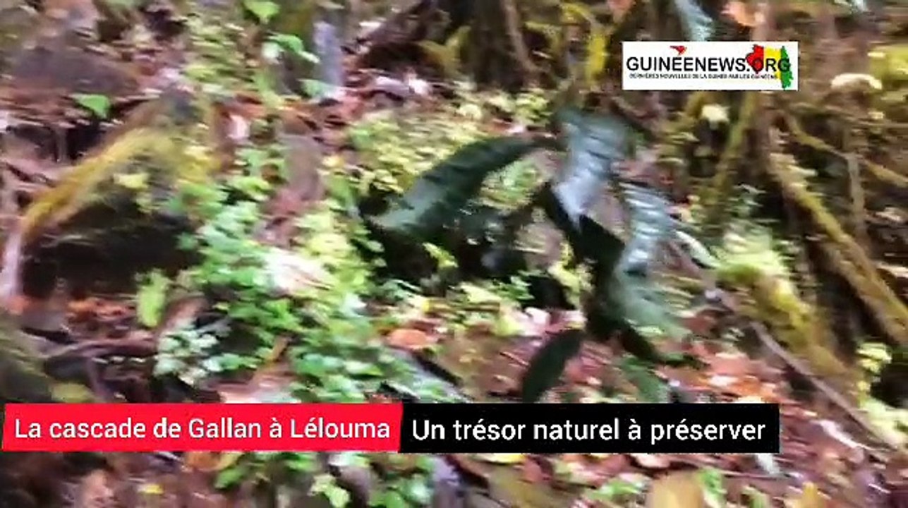 La cascade cachée de Gallan à Lélouma : un trésor naturel préservé