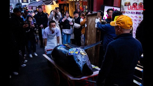 Tokyo, record per un tonno rosso Oma da 243 chili: venduto all'asta per 3,2 milioni di dollari