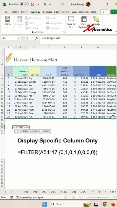 Filter Excel to only show certain columns - Excel Tips and Tricks