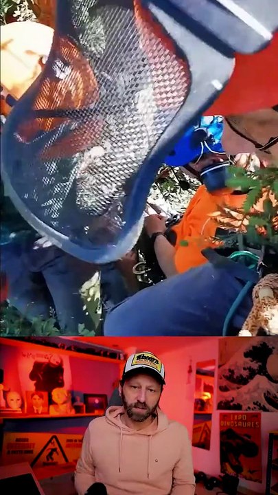 Il a survécu à sa terrible chute !