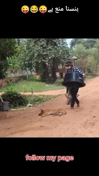 thora hans lo 🤣🤣🤣