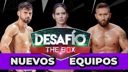 Nuevos equipos del 'Desafío the box' 2023: así quedaron conformados Alpha y Beta | Pulzo