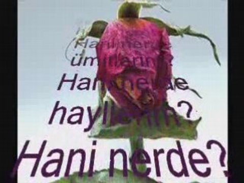 Ulaş Gürdal Hani Benimdin?