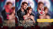 [ Hot 2026🔥] Reborn for the Lycan King - Reelshort