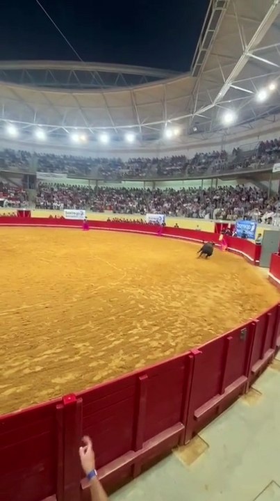 Salida del quinto toro del hierro de Jorge Mendes para el cavaleiro Salgueiro da Costa