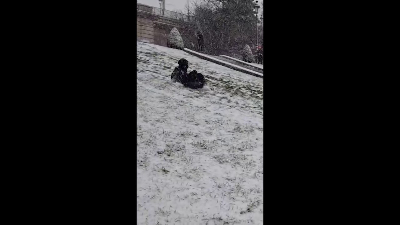 Neige : des courses de luges à Montmartre