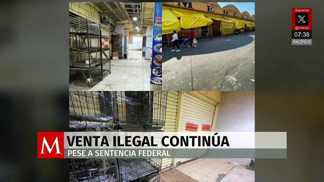 Con negocios cerrados y jaulas vacías, continúa venta de animales en Mercado Sonora