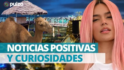 El dato poco conocido del nuevo álbum de Karol G y más noticias positivas | Pulzo