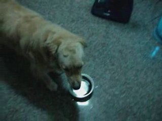 糖糖紀錄片_2008-05-23_03