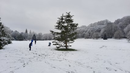 Bataille de boules de neige à l'arboretum de Conches-en-Ouche