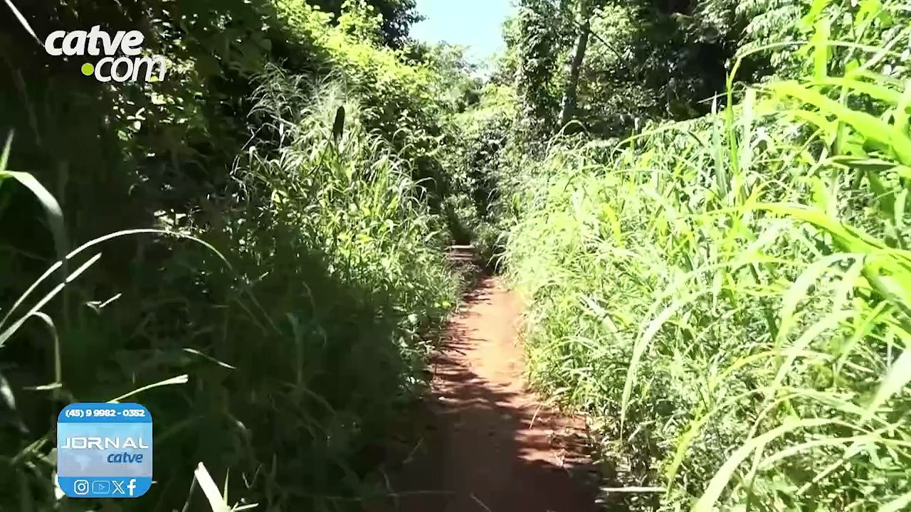 Idoso desaparecido em Toledo jogou chaves para dentro da garagem de casa