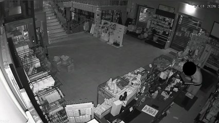 Sassari, il furto nel negozio a Cortesantamaria ripreso dalle telecamere: ecco il video