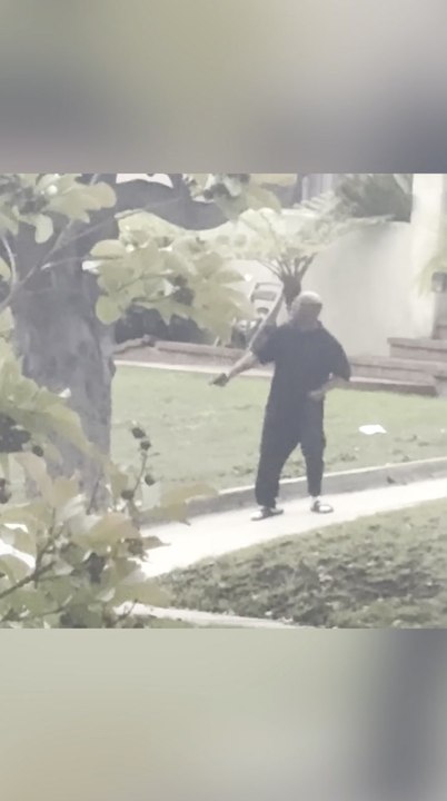 Heroic Los Angeles police dog takes down crazed gunman after wild 4-hour police standoff