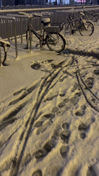 Vélo + neige + Paris = un peu de marche, quelques frayeurs et beaucoup d’émerveillement ☃️