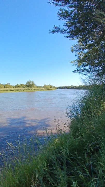 La mejor actividad al aire libre 🎣