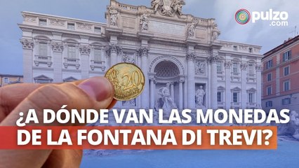 A dónde van las monedas que tiran a la Fontana di Trevi y más noticias positivas | Pulzo