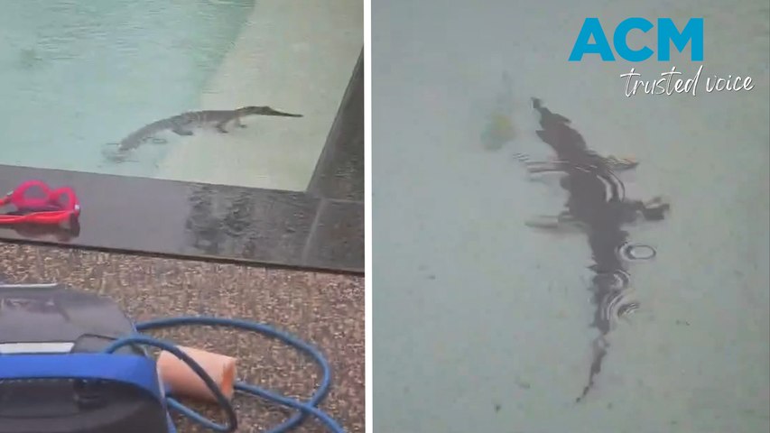 Daisy Crawford, a councillor for Litchfield Council, has warned the community to stay croc wise after she discovered a freshwater crocodile in her pool in Howards Springs, Northern Territory.