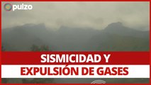 Alerta en volcán Nevado del Ruiz: sismicidad persiste en baja intensidad este 30 de mayo | Pulzo