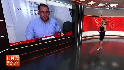 TED SOBRE ELECCIONES SUBNACIONALES