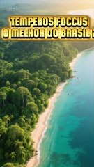 TEMPEROS FOCCUS O MELHOR DO BRASIL ( FOCCUS MUSIC)