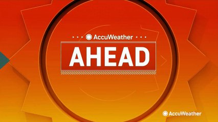 Fire crew rescues dog from icy water on New Year's Day