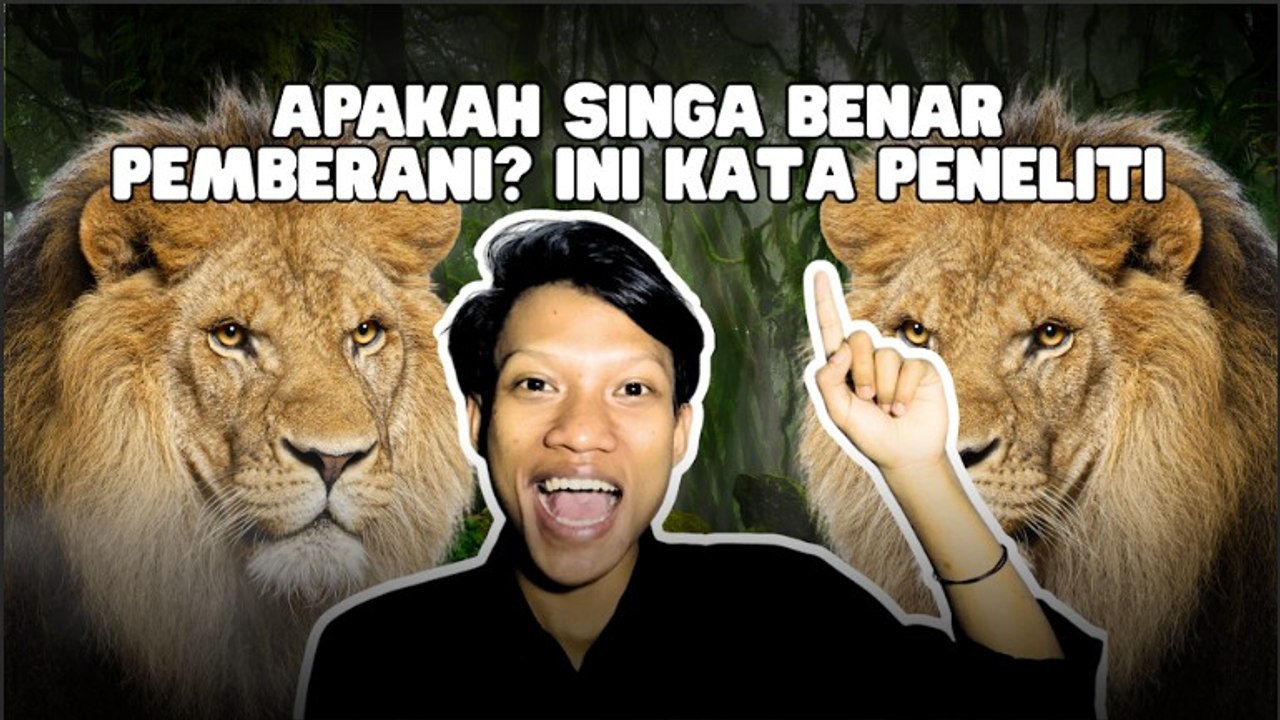 Apakah Singa Hewan Pemberani? Ini Jawabannya