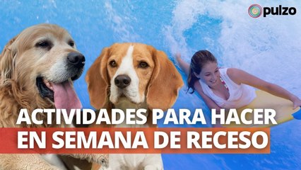 Qué hacer en semana de receso y otras noticias positivas | Pulzo