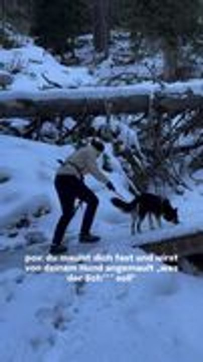 Woman Slips on Ice While Hiking With Her Dog