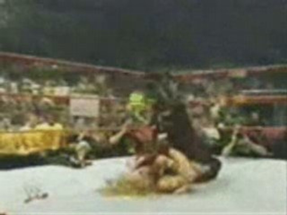 Lita spear  trish stratus