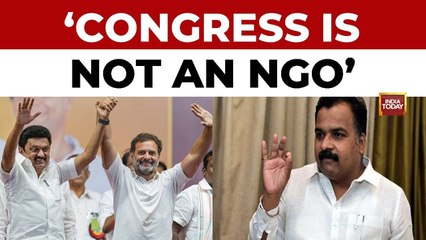 Tamil Nadu 2026: Congress MP Manickam Tagore Demands Cabinet Berths, Says Party 'Not An NGO'