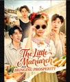 The Little Matriarch Bringing Prosperity Chinese Drama - English Sub