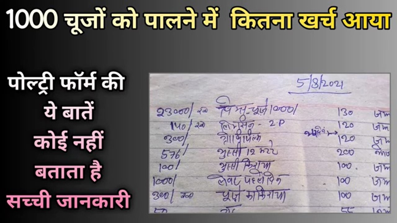 1000 चूजों को पालने में कितना खर्च आया | poultry farm loss and profit | desi murgi