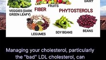 reduce cholesterol