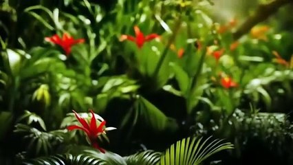 Part 2 - THE CUFFS (2026) Scott Adkins | Full Action Movie - Thriller - Adventure | 4K #actionmovies