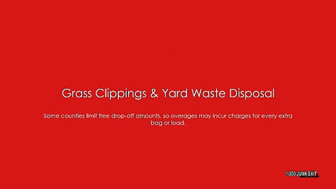 Hidden Costs of Yard Junk Removal in Bucks County