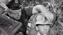 Gilligan's Island - S1xE27 - New Neighbor Sam