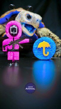 Squid Game ASMR Mukbang Eating Blue Dalgona Candy    Turtle Tortoise