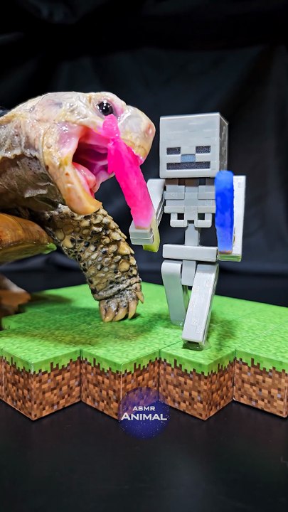 Minecraft ASMR Mukbang Eating Skeleton s Pink Sword   ️