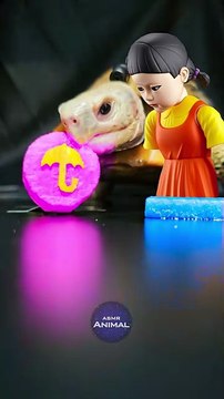 Squid Game ASMR Mukbang Eating Pink Dalgona Candy