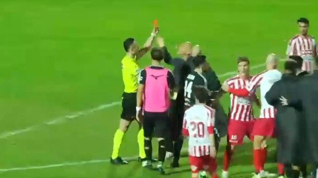 Gesto folle in Serie D! Allenatore viene espulso, va dall'arbitro e...