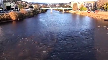Mersin Göksu Nehri'nde çevre katliamına komik para cezası