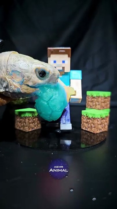 Minecraft ASMR Mukbang Eating Diamond    Turtle Tortoise