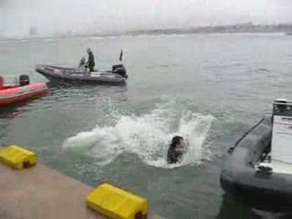 javier moreno, campeón catalunya debutantes pescasub