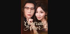 Contrato De Amor