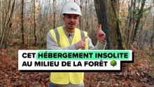 🌲 Cet hébergement insolite au milieu de la forêt !