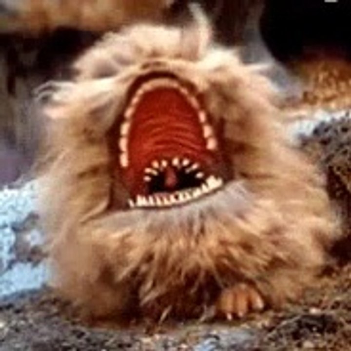 Kleines Monster