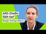 Alice Weidel: Riesiger Umfrage-Absturz - AfD-Chefin fällt tief