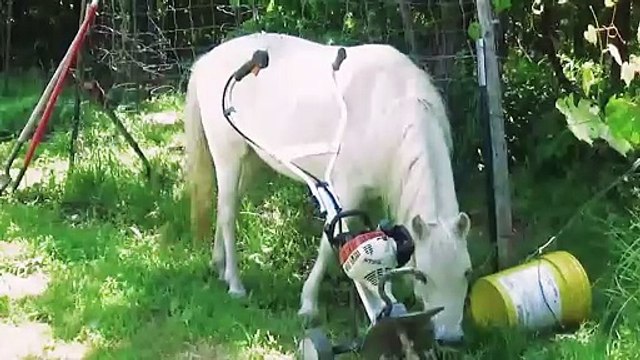 Introduction to DR J Studio LLC - Dailymotion