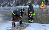 Tarvisio (UD) - Cervo intrappolato nel ghiaccio salvato dai vigili del fuoco (06.01.26)
